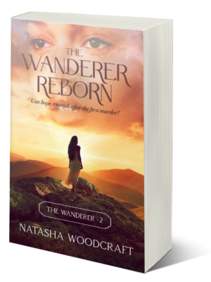 The Wanderer Reborn Paperback