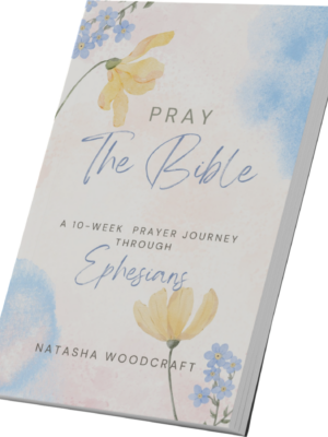 Pray the Bible (Seconds)